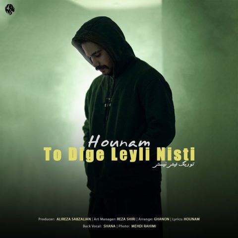 دانلود آهنگ هونام تو دیگه لیلی نیستی